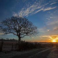 Buy canvas prints of A new day dawns by Stephen Prosser