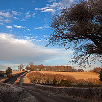 Buy canvas prints of The road to somewhere by Stephen Prosser