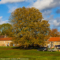 Buy canvas prints of Village green, Hutton le Hole by Stephen Prosser