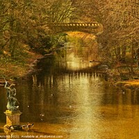 Buy canvas prints of Hardwick Park Co.Durham by Martyn Arnold