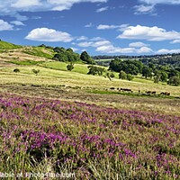 Buy canvas prints of North York Moors Panorama Landscape by Martyn Arnold