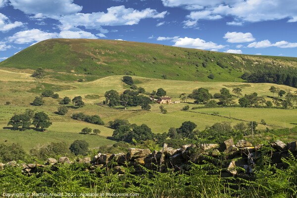 North York Moors Landscape in Ryedale Picture Board by Martyn Arnold