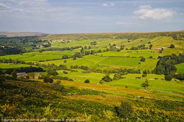 Danby Dale from Castleton Rigg - North York Moors Landscape Picture Board by Martyn Arnold