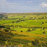 Buy canvas prints of Danby Dale from Castleton Rigg - North York Moors Landscape by Martyn Arnold