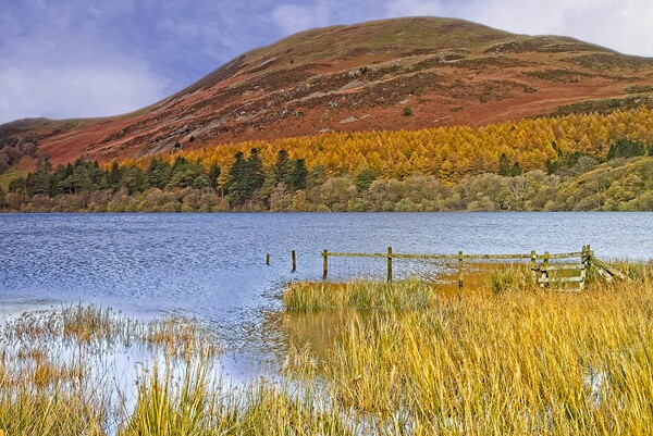 Autumn at Loweswater and Darling Fell, Lake distri Picture Board by Martyn Arnold