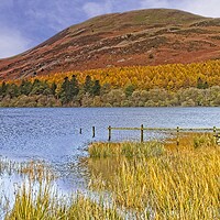 Buy canvas prints of Autumn at Loweswater and Darling Fell, Lake distri by Martyn Arnold