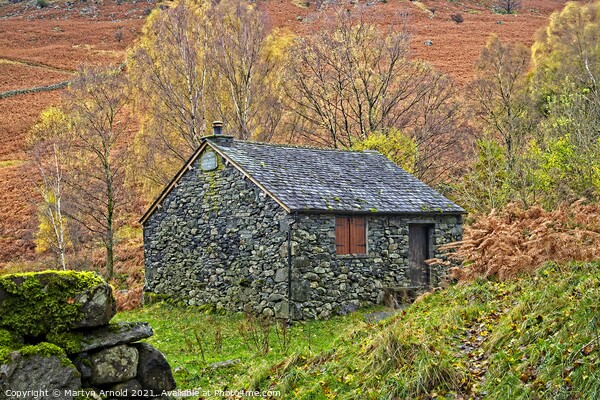 Bark House, Ashness Bridge, Lake District Picture Board by Martyn Arnold