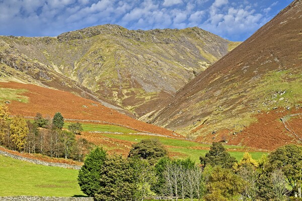 Autumn View of Blencathra Picture Board by Martyn Arnold