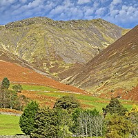 Buy canvas prints of Autumn View of Blencathra by Martyn Arnold