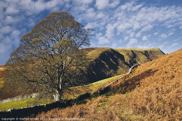 Lonsdale Fell and Lonsdale Pike Lake District Landscape Picture Board by Martyn Arnold