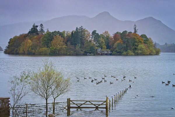 Misty Catbells across Derwent Water from Crow Park, Keswick Picture Board by Martyn Arnold