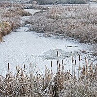 Buy canvas prints of Winter Scene at Rutland Water by Martyn Arnold