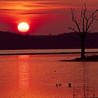 Buy canvas prints of Rutland Water Sunrise by Martyn Arnold