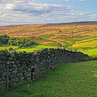 Buy canvas prints of North York Moors by Martyn Arnold