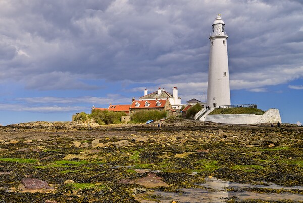 Low Tide at St. Mary's Island, Whitley Bay Picture Board by Martyn Arnold
