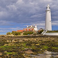 Buy canvas prints of Low Tide at St. Mary's Island, Whitley Bay by Martyn Arnold