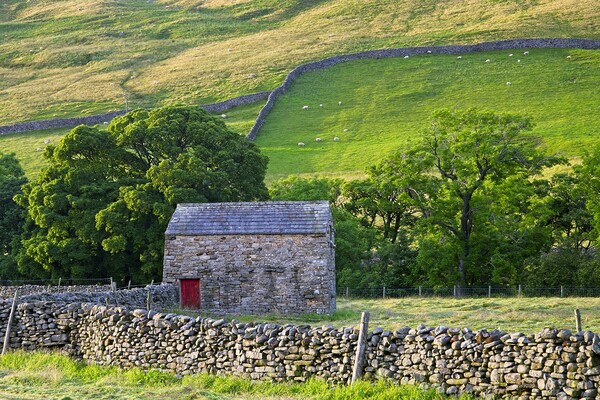 Swaledale Landscape, Yorkshire Dales Picture Board by Martyn Arnold