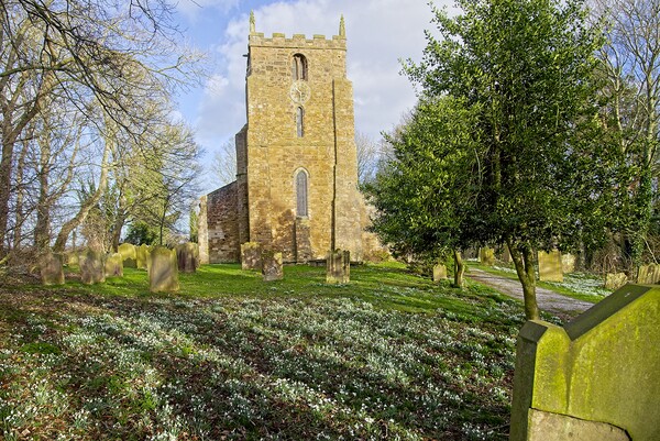 Churchyard Spring Snowdrops Picture Board by Martyn Arnold