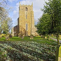 Buy canvas prints of Churchyard Spring Snowdrops by Martyn Arnold
