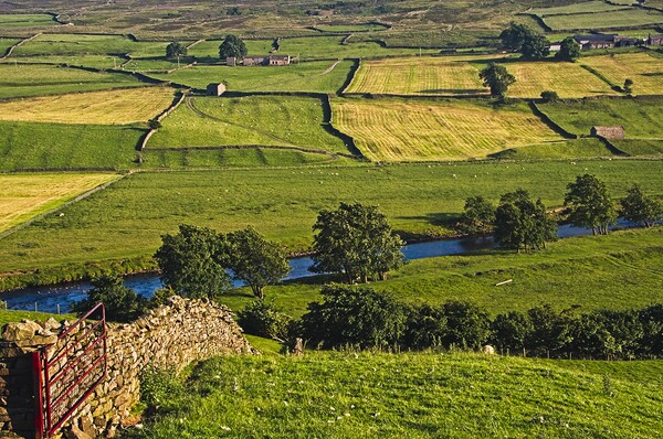 Yorkshire Dales Landscape Picture Board by Martyn Arnold