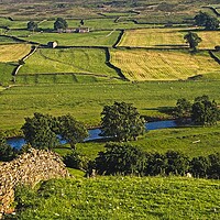 Buy canvas prints of Yorkshire Dales Landscape by Martyn Arnold