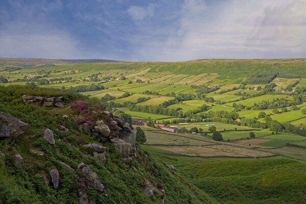 Danby Dale on the North York Moors Picture Board by Martyn Arnold