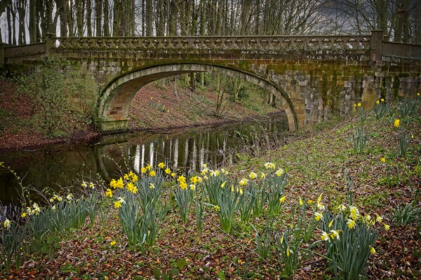 Serpentine Bridge, Hardwick Park, Co. Durham Picture Board by Martyn Arnold