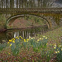 Buy canvas prints of Serpentine Bridge, Hardwick Park, Co. Durham by Martyn Arnold