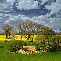 Buy canvas prints of Fields Trees and Cloudy Sky by Martyn Arnold