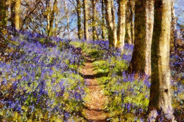 Bluebell Art Picture Board by Martyn Arnold