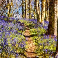 Buy canvas prints of Bluebell Art by Martyn Arnold