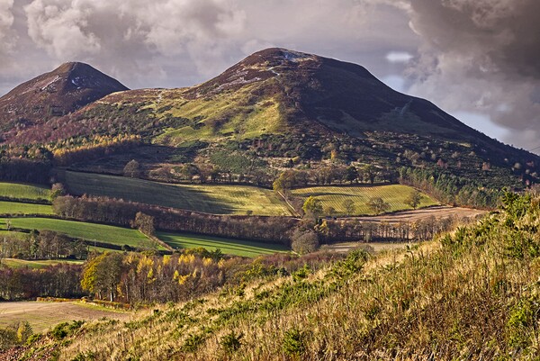 Eildon Hills from Scott's View near Melrose Picture Board by Martyn Arnold