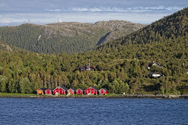 Boathouses in Norway Picture Board by Martyn Arnold