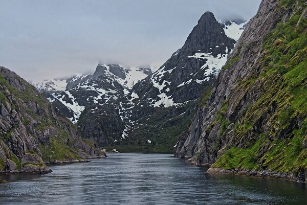 Entering Trollfjord at Midnight in Norway Picture Board by Martyn Arnold