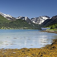 Buy canvas prints of Romsdalsfjord and Isforden Village Norway by Martyn Arnold