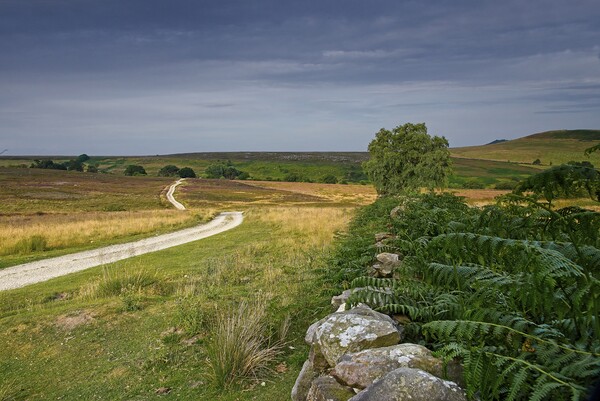 North York Moors Landscape Picture Board by Martyn Arnold