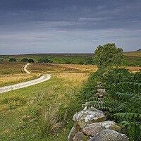 Buy canvas prints of North York Moors Landscape by Martyn Arnold