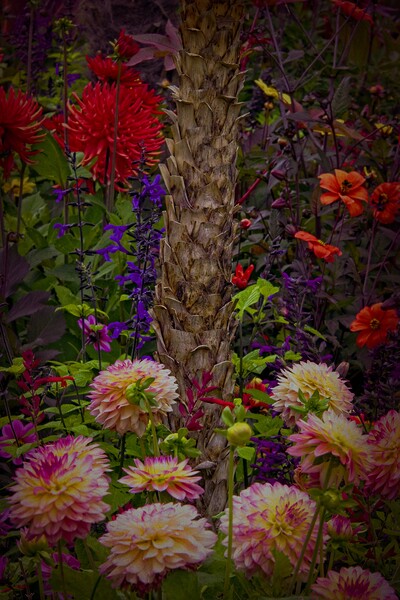 Summer Garden Flowers Picture Board by Martyn Arnold