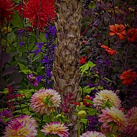 Buy canvas prints of Summer Garden Flowers by Martyn Arnold
