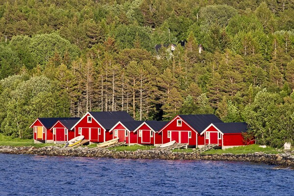 Red Boathouses in Norway Picture Board by Martyn Arnold