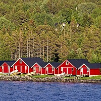 Buy canvas prints of Red Boathouses in Norway by Martyn Arnold