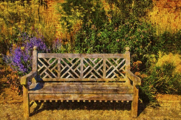 The Garden Bench Picture Board by Martyn Arnold