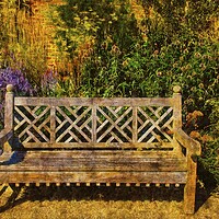 Buy canvas prints of The Garden Bench by Martyn Arnold