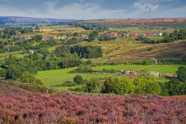 Castleton Village in Heather, Yorkshire Moors Picture Board by Martyn Arnold