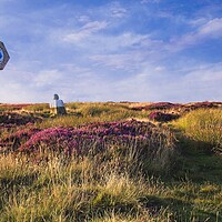 Buy canvas prints of Footpath Across the Heather Moors by Martyn Arnold