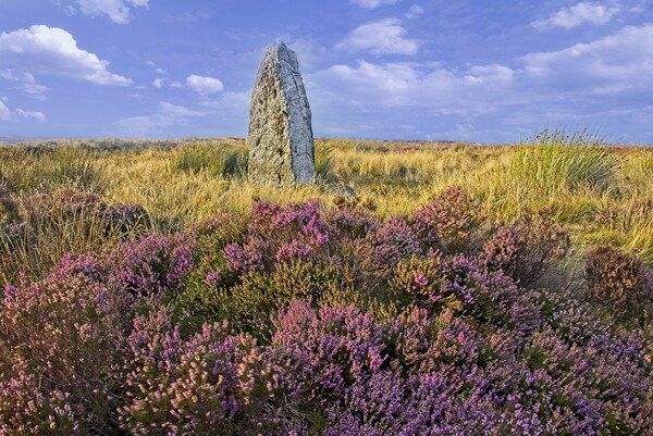 Millennium Stone, Danby High Moor, North York Moors Picture Board by Martyn Arnold