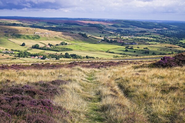 Yorkshire Moorland Landscape Picture Board by Martyn Arnold