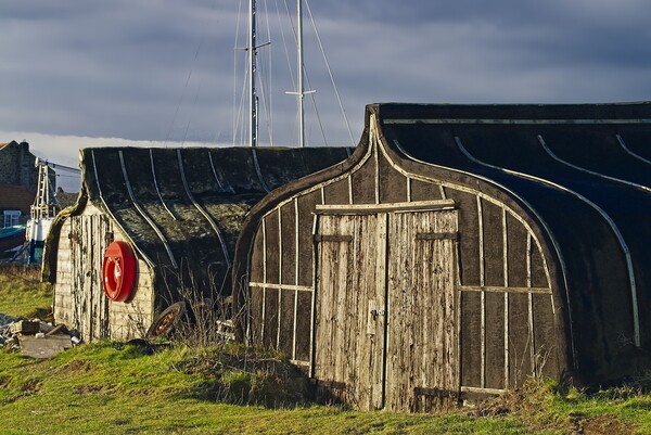 Holy Island Boat Sheds Lindisfarne Picture Board by Martyn Arnold