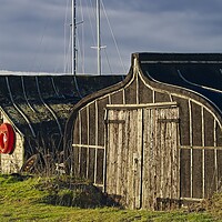 Buy canvas prints of Holy Island Boat Sheds Lindisfarne by Martyn Arnold