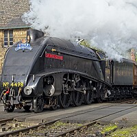 Buy canvas prints of A4 Class Steam Train Sir Nigel Gresley by Martyn Arnold